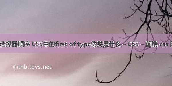 css伪类选择器顺序 CSS中的first of type伪类是什么 – CSS – 前端 css 图像替换