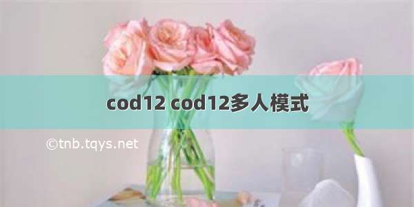 cod12 cod12多人模式