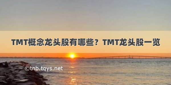 TMT概念龙头股有哪些？TMT龙头股一览