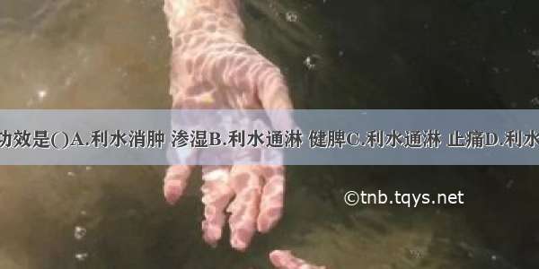 海金沙的功效是()A.利水消肿 渗湿B.利水通淋 健脾C.利水通淋 止痛D.利水渗湿 安神