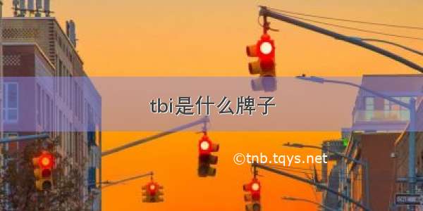 tbi是什么牌子