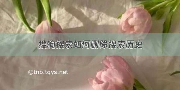 搜狗搜索如何删除搜索历史