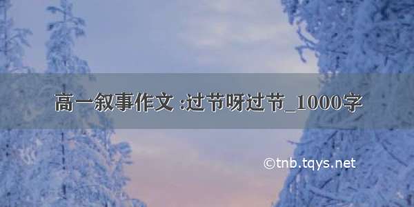 高一叙事作文 :过节呀过节_1000字