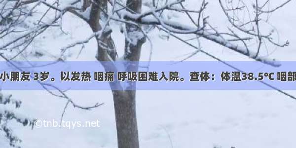 某幼儿园小朋友 3岁。以发热 咽痛 呼吸困难入院。查体：体温38.5℃ 咽部及扁桃体