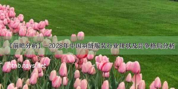 【前瞻分析】-2028年中国羽绒服装行业现状及竞争格局分析