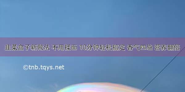 韭菜盒子新做法 不用揉面 10分钟轻松搞定 香气四溢 营养翻倍