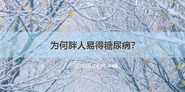 为何胖人易得糖尿病？