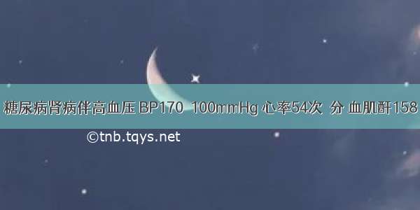 女 50岁。糖尿病肾病伴高血压 BP170／100mmHg 心率54次／分 血肌酐158μmol／L。