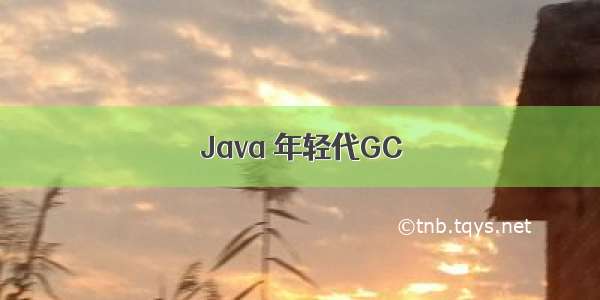 Java 年轻代GC