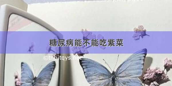 糖尿病能不能吃紫菜