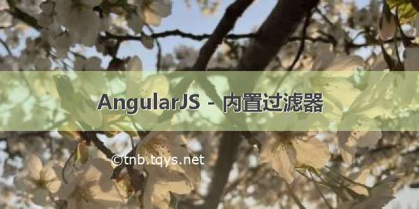 AngularJS - 内置过滤器