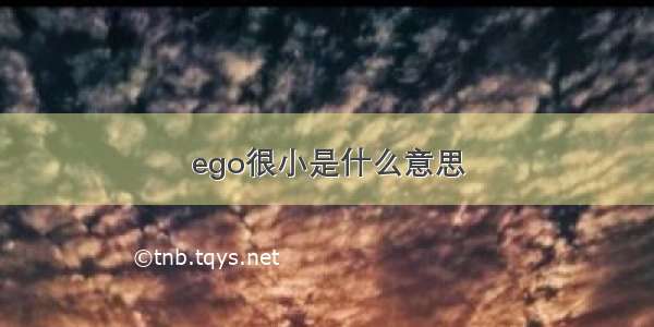 ego很小是什么意思