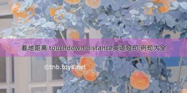 着地距离 touchdown distance英语短句 例句大全