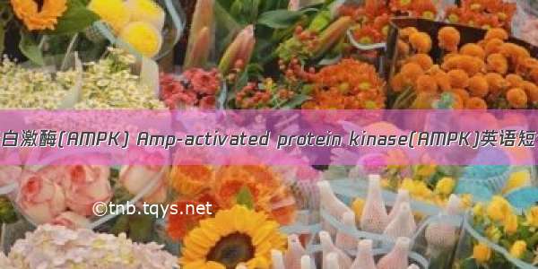 腺苷酸活化蛋白激酶(AMPK) Amp-activated protein kinase(AMPK)英语短句 例句大全