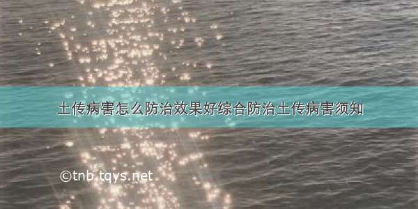 土传病害怎么防治效果好综合防治土传病害须知