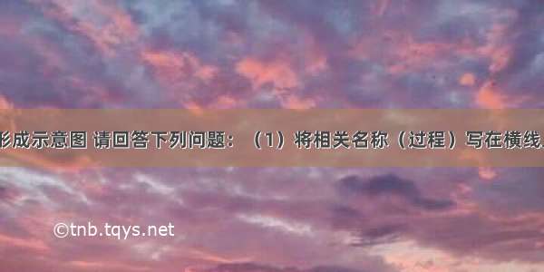 如面是尿的形成示意图 请回答下列问题：（1）将相关名称（过程）写在横线上：甲_____