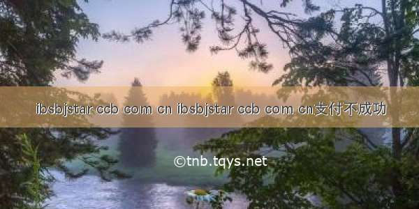 ibsbjstar ccb com cn ibsbjstar ccb com cn支付不成功