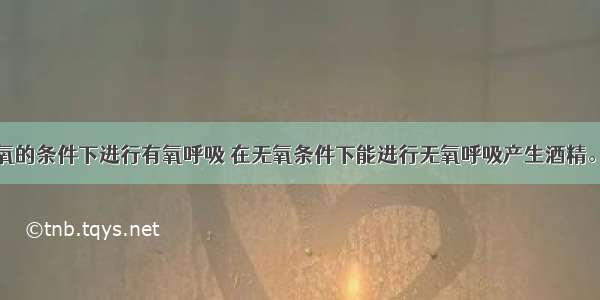 酵母菌在有氧的条件下进行有氧呼吸 在无氧条件下能进行无氧呼吸产生酒精。如果在有氧