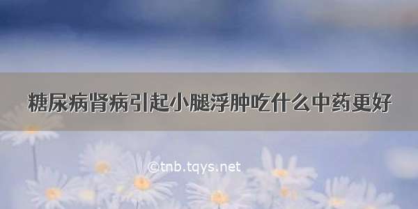 糖尿病肾病引起小腿浮肿吃什么中药更好