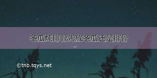 冬瓜炖排骨先放冬瓜还是排骨