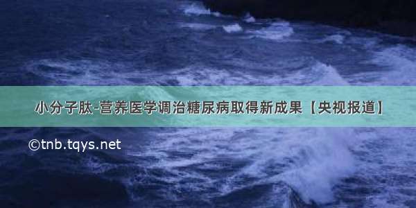 小分子肽-营养医学调治糖尿病取得新成果【央视报道】