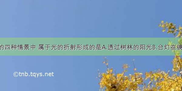 如图1所示的四种情景中 属于光的折射形成的是A.透过树林的阳光B.台灯在镜中的像C.倒