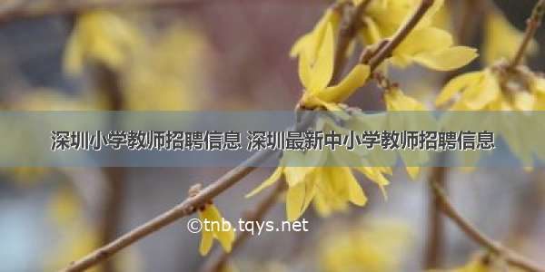 深圳小学教师招聘信息 深圳最新中小学教师招聘信息