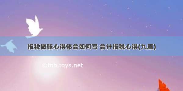 报税做账心得体会如何写 会计报税心得(九篇)