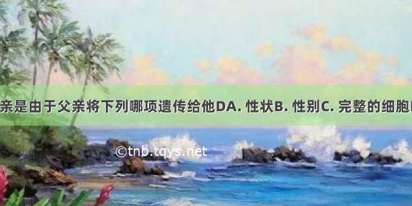 儿子像父亲是由于父亲将下列哪项遗传给他DA. 性状B. 性别C. 完整的细胞D. 染色体