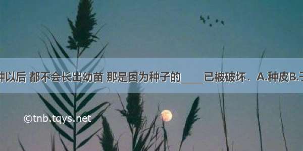 大米和豆瓣播种以后 都不会长出幼苗 那是因为种子的_____已被破坏．A.种皮B.子叶C.胚乳D.胚