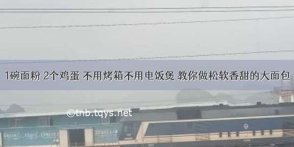 1碗面粉 2个鸡蛋 不用烤箱不用电饭煲 教你做松软香甜的大面包