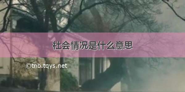 社会情况是什么意思