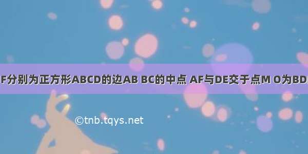 如图 已知E F分别为正方形ABCD的边AB BC的中点 AF与DE交于点M O为BD的中点 则下