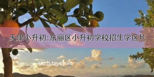 天津小升初:东丽区小升初学校招生学区片