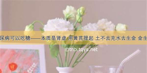 糖尿病可以吃糖——本质是肾虚 用黄芪提起 土不去克水去生金 金生水