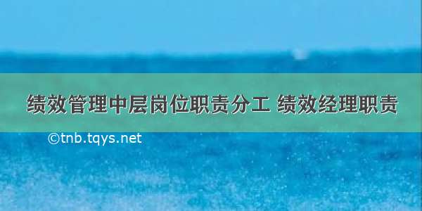 绩效管理中层岗位职责分工 绩效经理职责