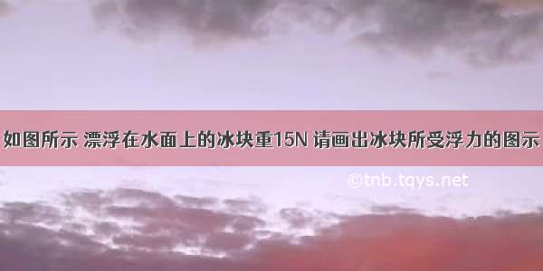 如图所示 漂浮在水面上的冰块重15N 请画出冰块所受浮力的图示．