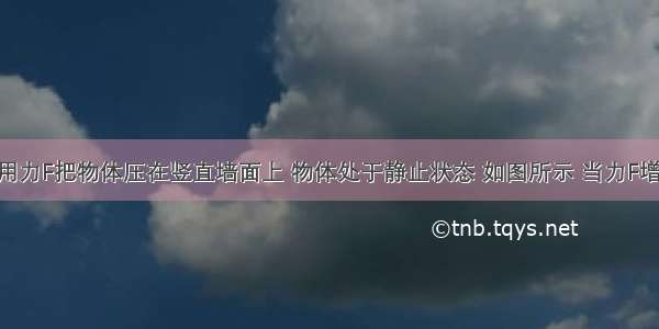 用水平作用力F把物体压在竖直墙面上 物体处于静止状态 如图所示 当力F增大一点 物