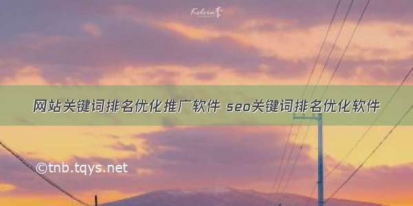 网站关键词排名优化推广软件 seo关键词排名优化软件