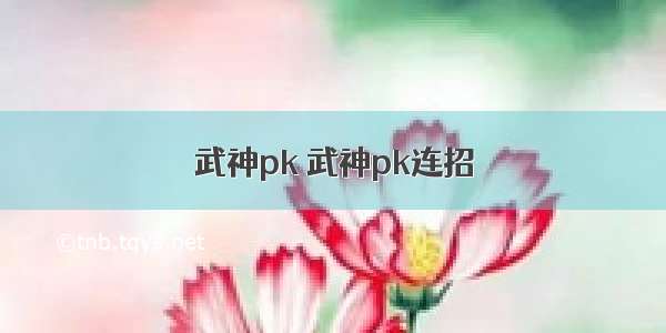 武神pk 武神pk连招