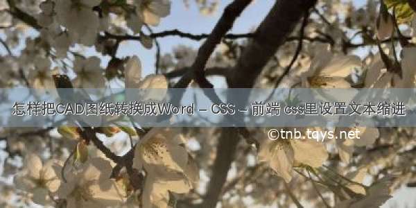 怎样把CAD图纸转换成Word – CSS – 前端 css里设置文本缩进