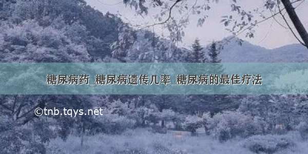 糖尿病药_糖尿病遗传几率_糖尿病的最佳疗法