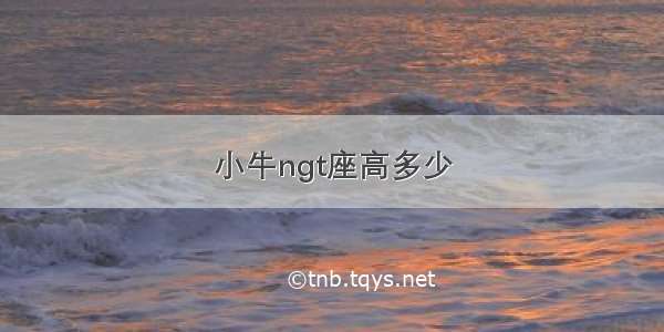 小牛ngt座高多少