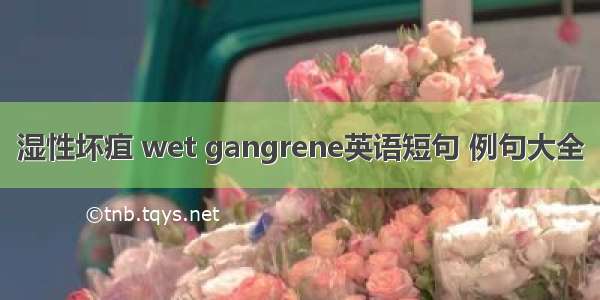 湿性坏疽 wet gangrene英语短句 例句大全