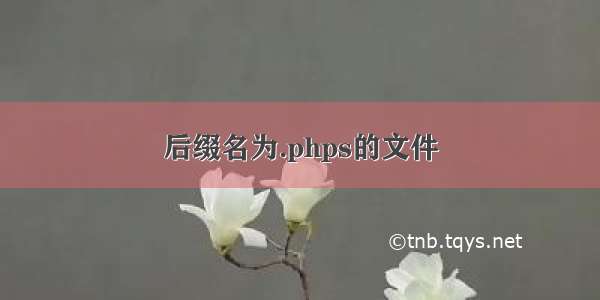 后缀名为.phps的文件