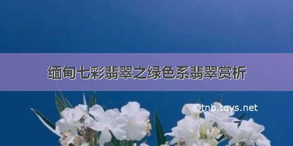 缅甸七彩翡翠之绿色系翡翠赏析