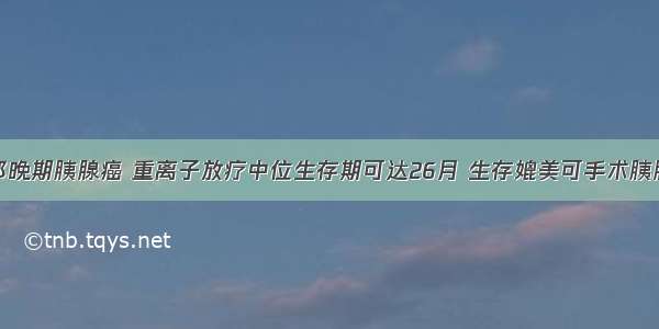 局部晚期胰腺癌 重离子放疗中位生存期可达26月 生存媲美可手术胰腺癌