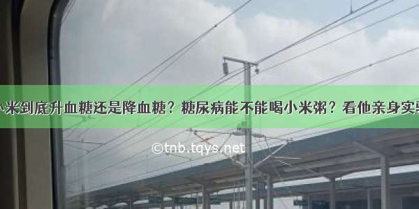 小米到底升血糖还是降血糖？糖尿病能不能喝小米粥？看他亲身实验