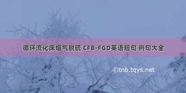 循环流化床烟气脱硫 CFB-FGD英语短句 例句大全