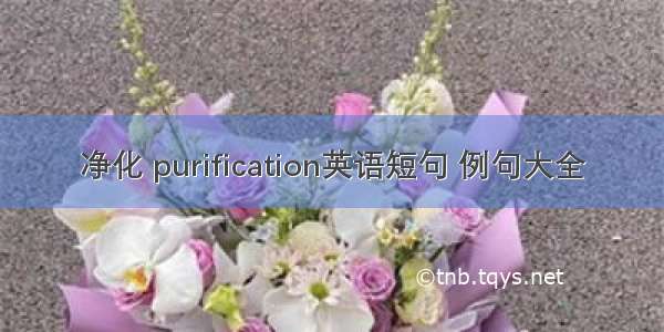 净化 purification英语短句 例句大全